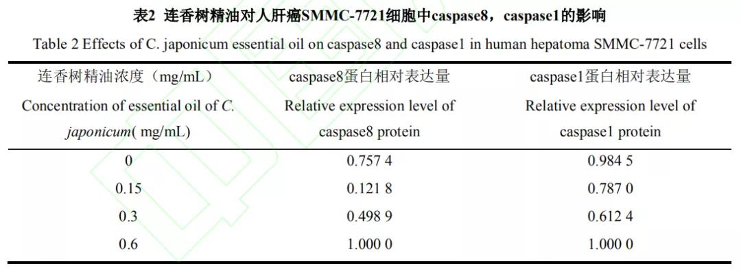 精油提煉設(shè)備