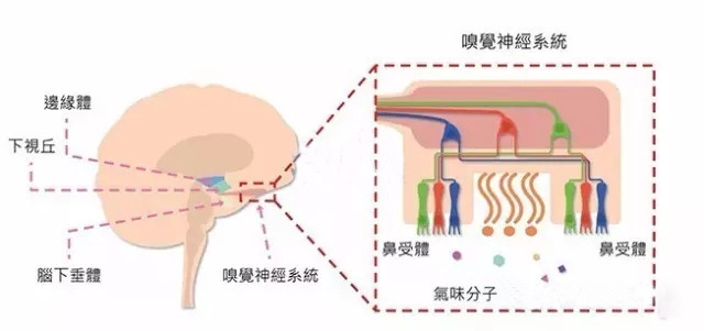 香薰精油推薦