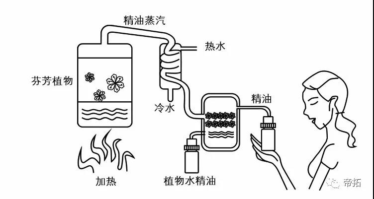 香薰是什么東西